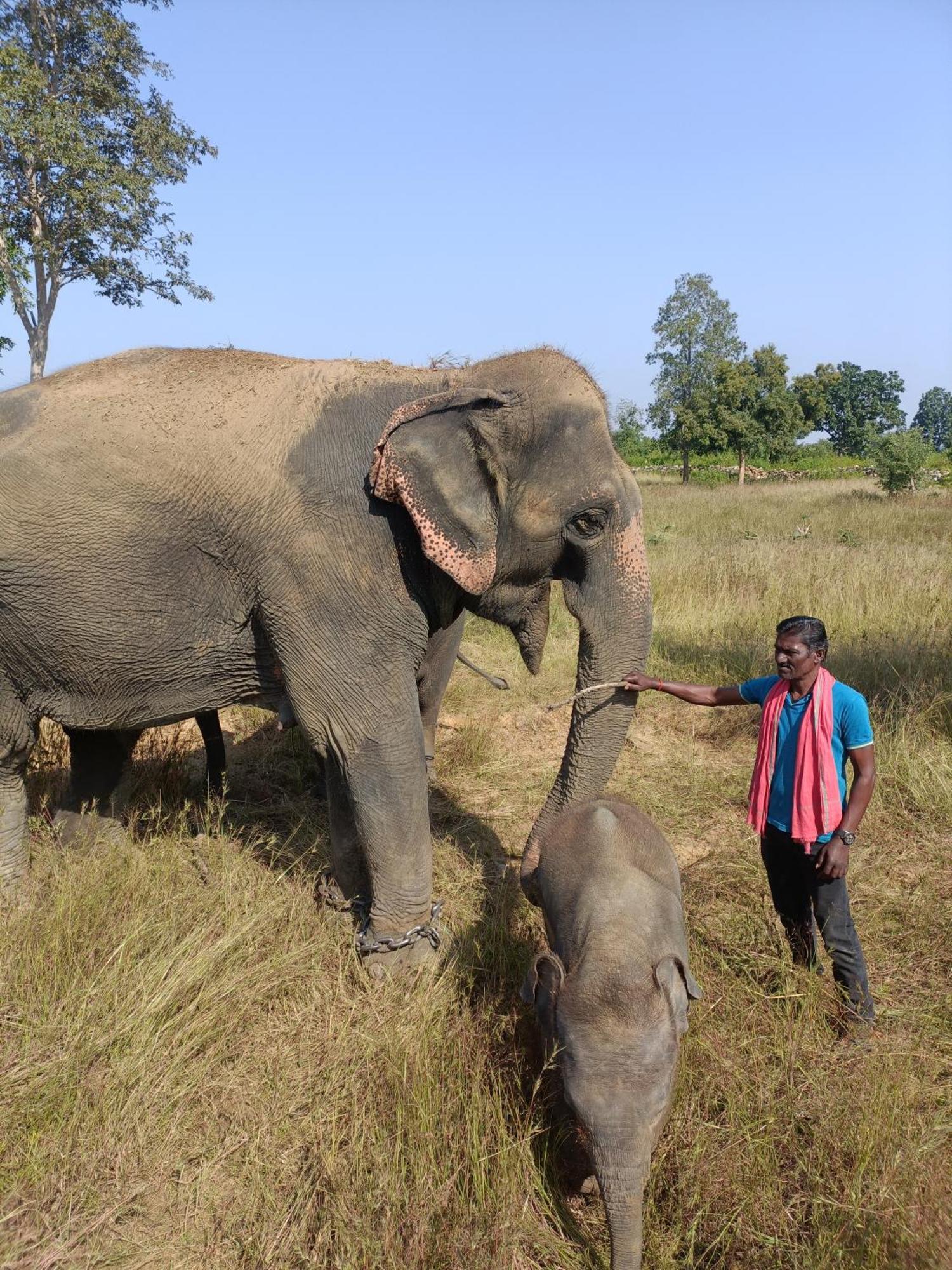 Khajuraho Homestay ห้อง รูปภาพ
