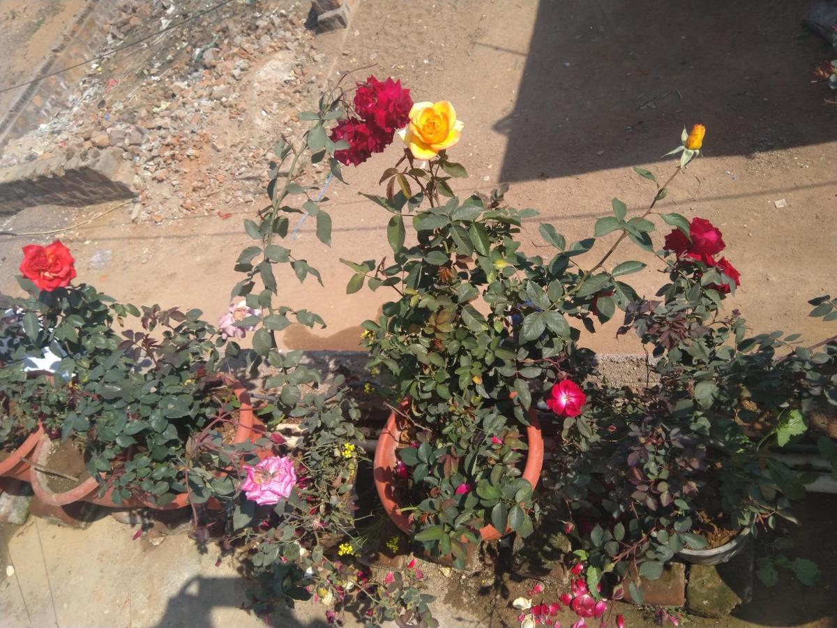 Khajuraho Homestay ภายนอก รูปภาพ